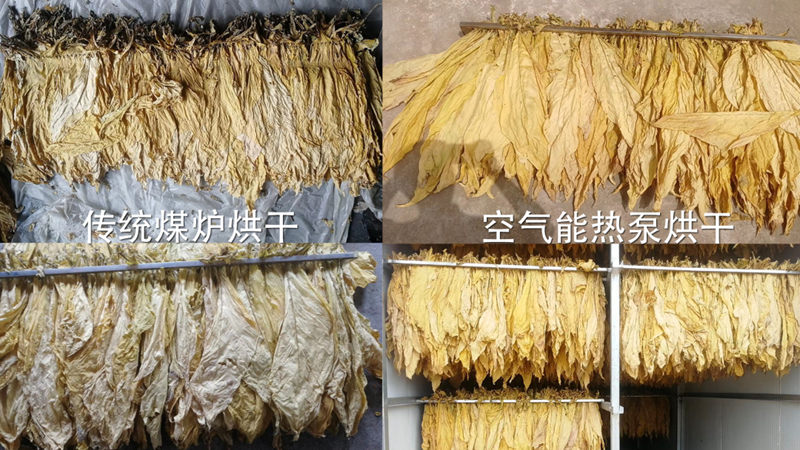 首页-人生就是博手机版
