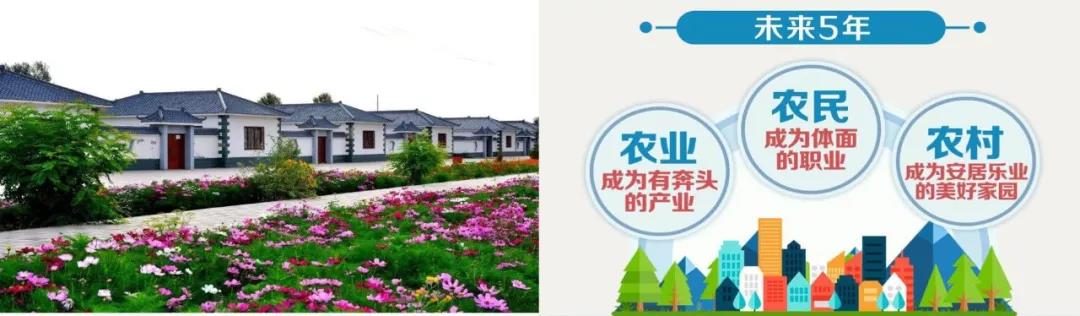 首页-人生就是博手机版