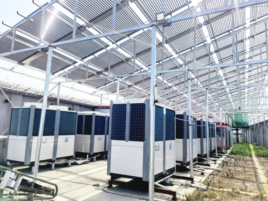 精准控温效益高丨专业空气能解决规划，助力养殖行业提质增效